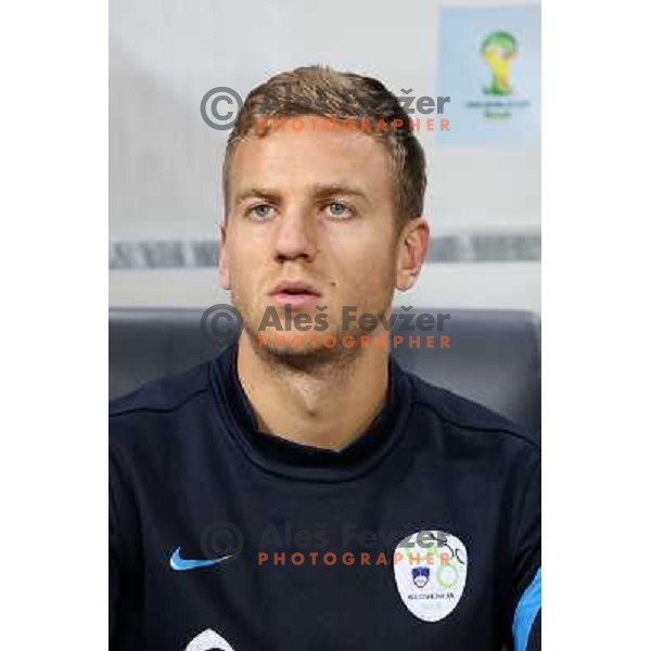 Ales mertelj of Slovenia during football match Slovenia-Switzerland in group E in FIFA 2014 World Cup Brasil Qualifiers, played in Arena Stozice, Ljubljana, Slovenia on September 7, 2012 