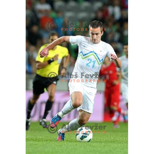 Armin Bacinovic of Slovenia during football match Slovenia-Switzerland in group E in FIFA 2014 World Cup Brasil Qualifiers, played in Arena Stozice, Ljubljana, Slovenia on September 7, 2012 