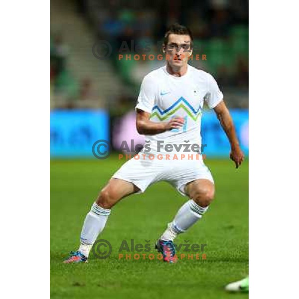 Armin Bacinovic of Slovenia during football match Slovenia-Switzerland in group E in FIFA 2014 World Cup Brasil Qualifiers, played in Arena Stozice, Ljubljana, Slovenia on September 7, 2012 