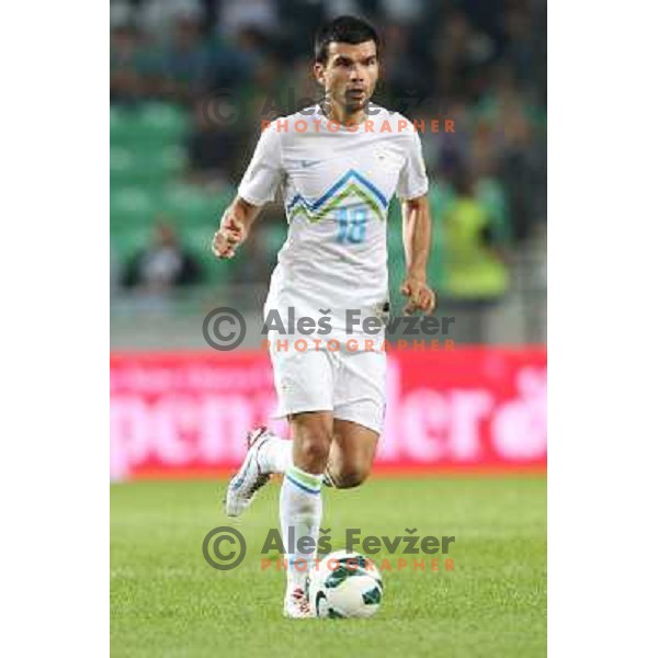 aleksandar Radosavljevic of Slovenia during football match Slovenia-Switzerland in group E in FIFA 2014 World Cup Brasil Qualifiers, played in Arena Stozice, Ljubljana, Slovenia on September 7, 2012 