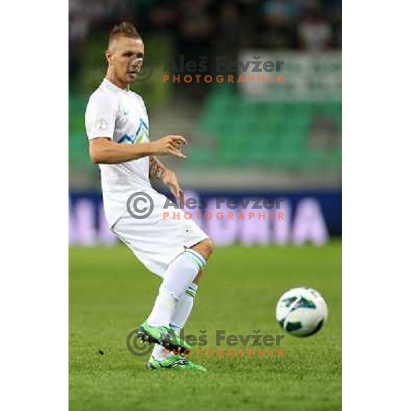Dejan Kelhar of Slovenia during football match Slovenia-Switzerland in group E in FIFA 2014 World Cup Brasil Qualifiers, played in Arena Stozice, Ljubljana, Slovenia on September 7, 2012 