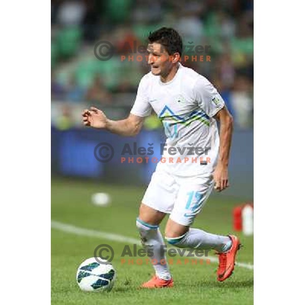 Andraz Kirm of Slovenia during football match Slovenia-Switzerland in group E in FIFA 2014 World Cup Brasil Qualifiers, played in Arena Stozice, Ljubljana, Slovenia on September 7, 2012 
