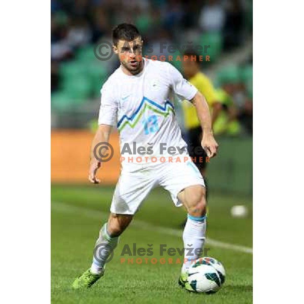 Bojan Jokic of Slovenia during football match Slovenia-Switzerland in group E in FIFA 2014 World Cup Brasil Qualifiers, played in Arena Stozice, Ljubljana, Slovenia on September 7, 2012 