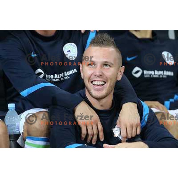 Dejan Kelhar of Slovenia during football match Slovenia-Switzerland in group E in FIFA 2014 World Cup Brasil Qualifiers, played in Arena Stozice, Ljubljana, Slovenia on September 7, 2012 