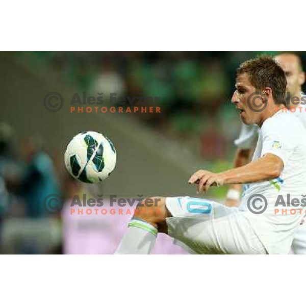Valter Birsa of Slovenia during football match Slovenia-Switzerland in group E in FIFA 2014 World Cup Brasil Qualifiers, played in Arena Stozice, Ljubljana, Slovenia on September 7, 2012 