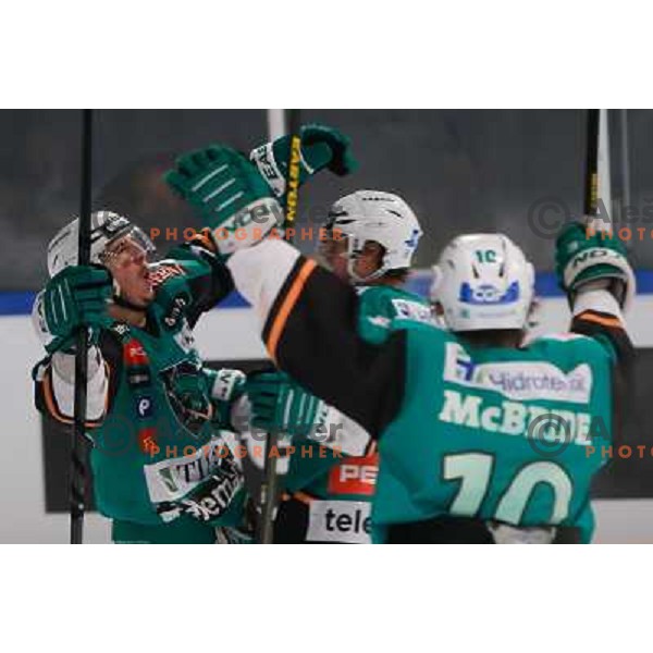 Michael Ratchuk of Telemach Olimpija celebrate during Icefest open-air hockey match on Joze Plecnik Bezigrad stadion in Ljubljana, Slovenia on January 4th, 2013 
