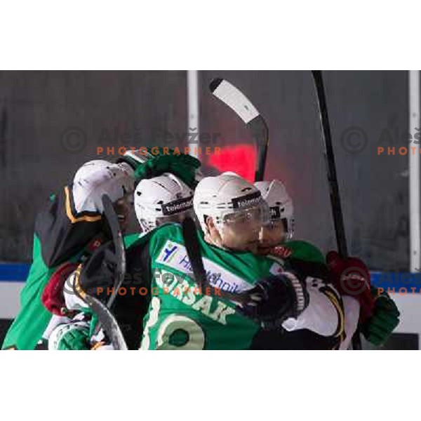 Action during Icefest open-air hockey match on Joze Plecnik Bezigrad stadion in Ljubljana, Slovenia on January 4th, 2013 