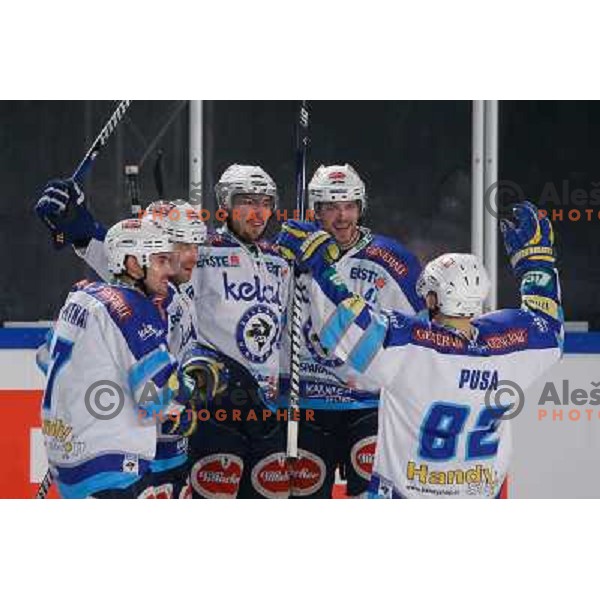 Team of EC VSV celebrate during Icefest open-air hockey match on Joze Plecnik Bezigrad stadion in Ljubljana, Slovenia on January 4th, 2013 