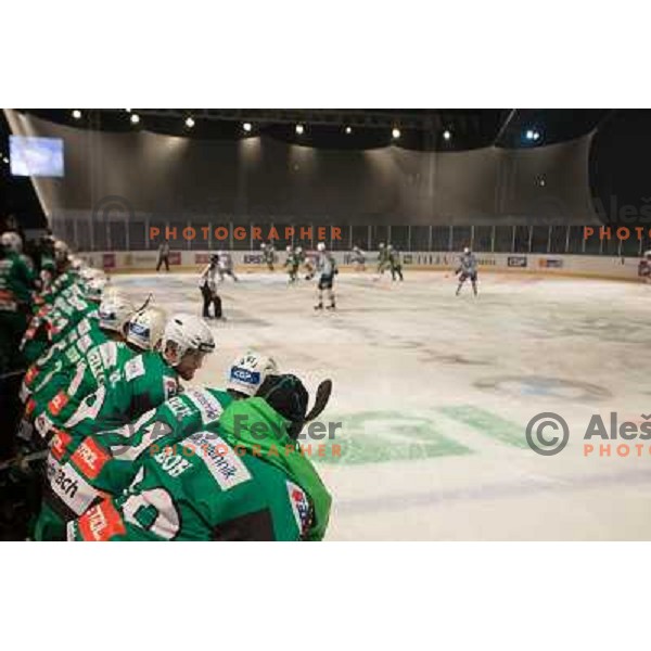 Action during Icefest open-air hockey match on Joze Plecnik Bezigrad stadion in Ljubljana, Slovenia on January 4th, 2013 