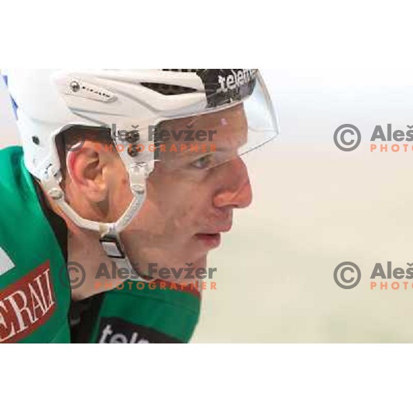 Bostjan Groznik of Telemach Olimpija during Icefest open-air hockey match on Joze Plecnik Bezigrad stadion in Ljubljana, Slovenia on January 4th, 2013 
