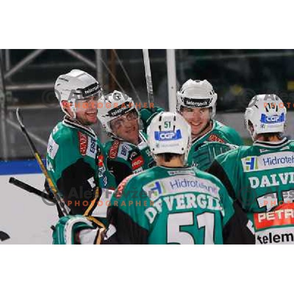 Team of Telemach Olimpija in action during Icefest 2013 open-air hockey match played on Joze Plecnik Bezigrad stadion in Ljubljana, Slovenia on January 6th, 2013 