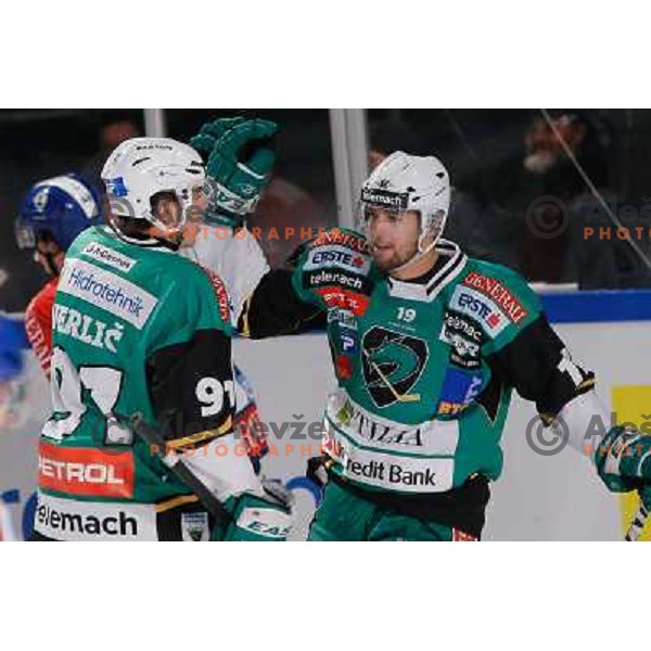 Miha Verlic and Ziga Pance of Telemach Olimpija in action during Icefest 2013 open-air hockey match played on Joze Plecnik Bezigrad stadion in Ljubljana, Slovenia on January 6th, 2013 