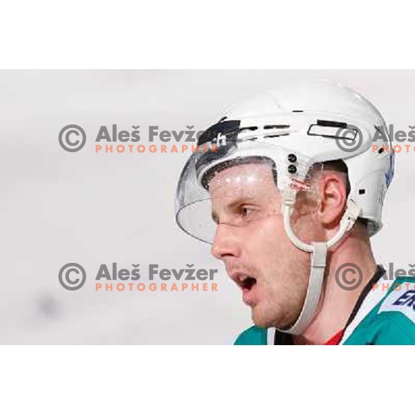 Jan Mursak of Telemach Olimpija in action during Icefest 2013 open-air hockey match played on Joze Plecnik Bezigrad stadion in Ljubljana, Slovenia on January 6th, 2013 