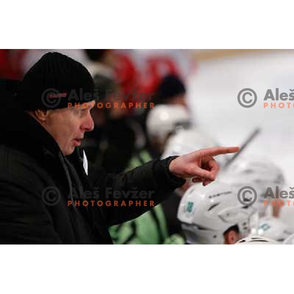 Bojan Zajc of Telemach Olimpija in action during Icefest 2013 open-air hockey match played on Joze Plecnik Bezigrad stadion in Ljubljana, Slovenia on January 8th, 2013 
