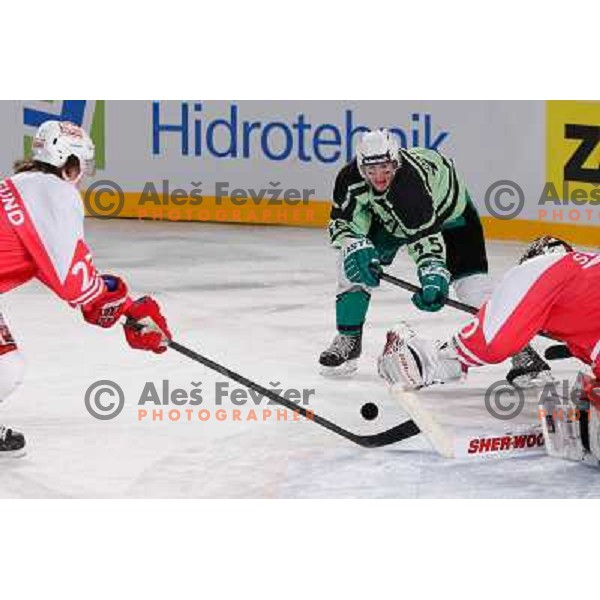 Michael Ratchuk of Telemach Olimpija in action during Icefest 2013 open-air hockey match played on Joze Plecnik Bezigrad stadion in Ljubljana, Slovenia on January 8th, 2013 