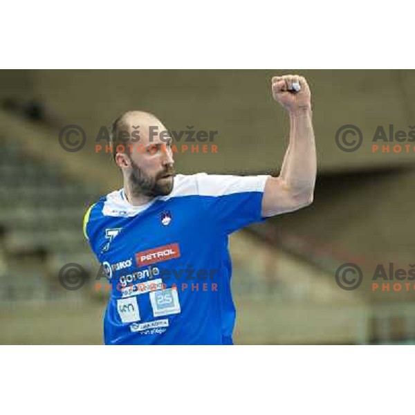 Vid Kavticnik of Slovenia in action during eight-final of handball World Cup 2013 match Slovenia-Egypt in Barcelona, Spain on January 21, 2013 