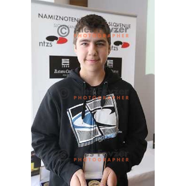 during presentation of awards for best table tennis players in Slovenia in 2012 in Plaza Hotel, Ljubljana on January 23, 2013 