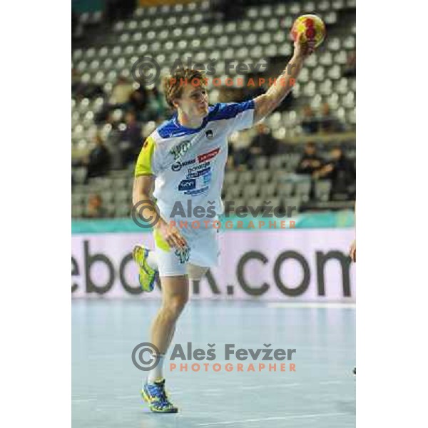 Jure Dolenec of Slovenia in action during eight-final match between Slovenia and Russia at Handball World Championships 2013 in Barcelona, Spain on January 23, 2013 