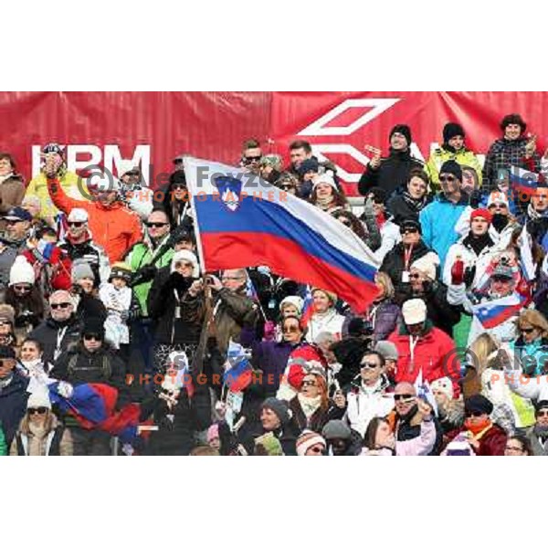 18.000 spectators at AUDI FIS Ski World Cup Slalom Race for 49.Golden Fox- Zlata Lisica in Maribor, Slovenia on January 27, 2013 