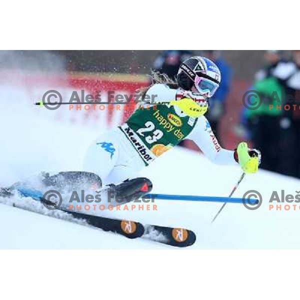Manuela Moellg of Italy skiing in first run of Audi FIS Ski World Cup slalom for 49.Golden Fox Trophy-Zlata Lisica in Maribor, Slovenia in January 27, 2013 
