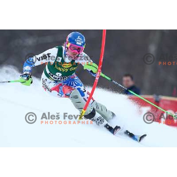 Veronika Velez Zuzulova (SVK) skiing in first run of Audi FIS Ski World Cup slalom for 49.Golden Fox Trophy-Zlata Lisica in Maribor, Slovenia in January 27, 2013 