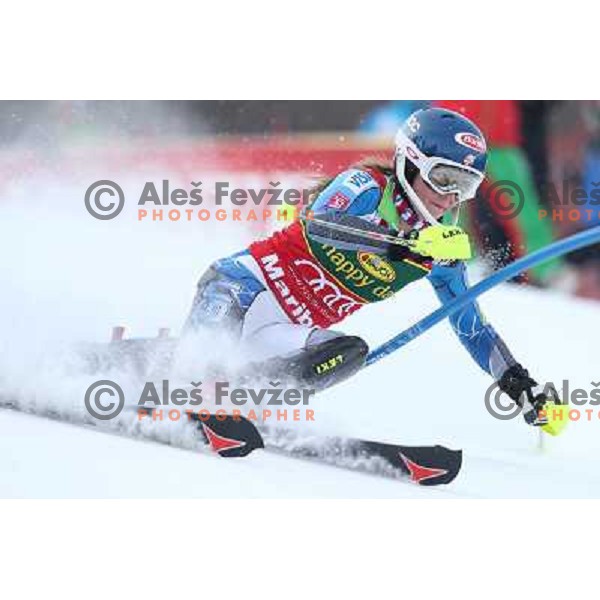 Mikaela Shiffrin (USA) skiing in first run of Audi FIS Ski World Cup slalom for 49.Golden Fox Trophy-Zlata Lisica in Maribor, Slovenia in January 27, 2013 
