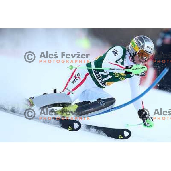 Nicole Hosp (AUT) skiing in first run of Audi FIS Ski World Cup slalom for 49.Golden Fox Trophy-Zlata Lisica in Maribor, Slovenia in January 27, 2013 