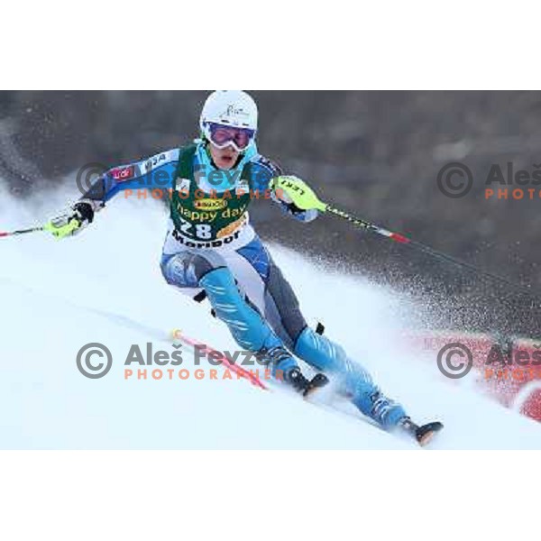 Resi Stiegler (USA) skiing in first run of Audi FIS Ski World Cup slalom for 49.Golden Fox Trophy-Zlata Lisica in Maribor, Slovenia in January 27, 2013 