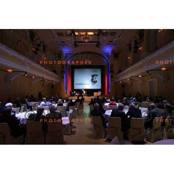 during Annual Bloudek Prizes, event in hotel Union, Ljubljana, Slovenia on February 12, 2013 