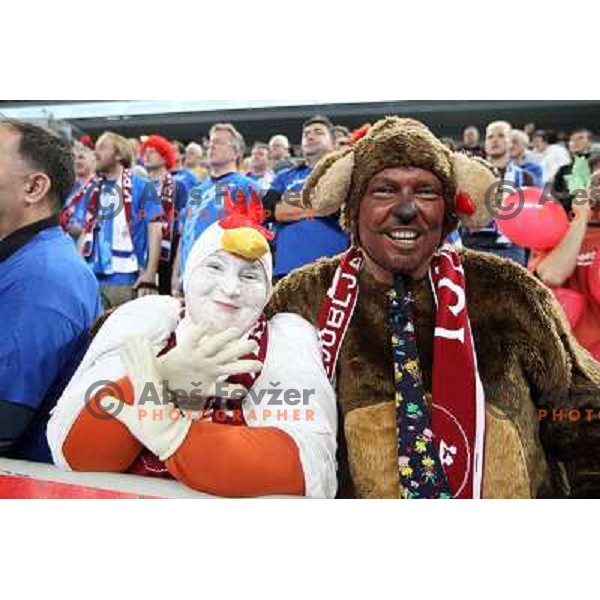 Fans of Krim Mercator in action during handball match Krim Mercator-Oltchim Valcea in EHF Women\'s Champions league, played in Arena Stozice, Ljubljana, Slovenia on February 10, 2013 