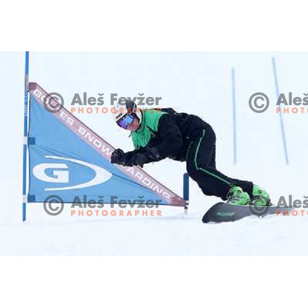 Jani Goltes, owner of Goltes snowboarding during Goltes Carving festival at Rogla Ski resort, Slovenia on February 15, 2013 