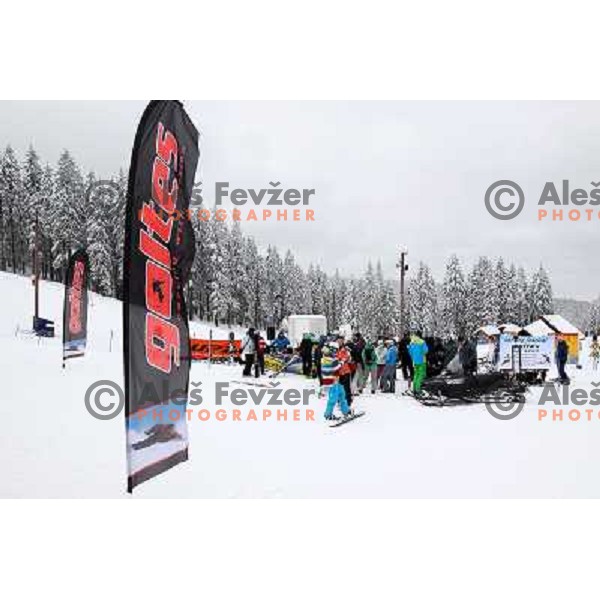 Fresh powder action during Goltes Carving festival at Rogla Ski resort, Slovenia on February 15, 2013 