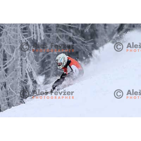 Fresh powder action during Goltes Carving festival at Rogla Ski resort, Slovenia on February 15, 2013 