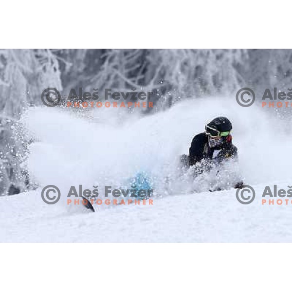 Fresh powder action during Goltes Carving festival at Rogla Ski resort, Slovenia on February 15, 2013 