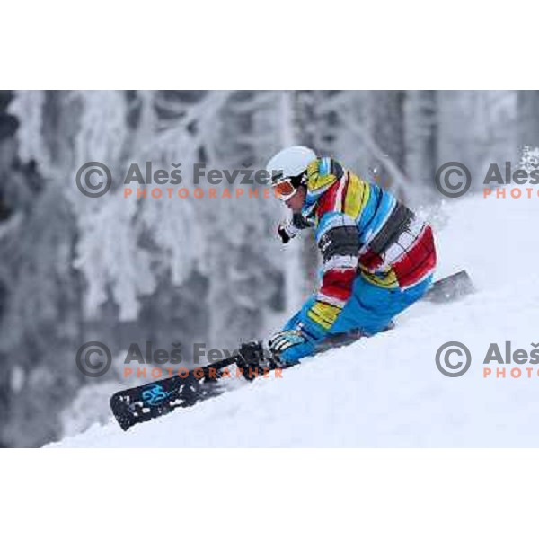 Fresh powder action during Goltes Carving festival at Rogla Ski resort, Slovenia on February 15, 2013 