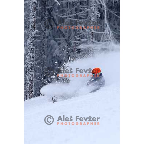 Fresh powder action during Goltes Carving festival at Rogla Ski resort, Slovenia on February 15, 2013 