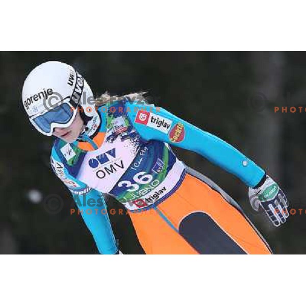 Spela Rogelj of Slovenia during FIS Ski jumping World Cup Ladies competition in Ljubno, Slovenia on February 16, 2013 