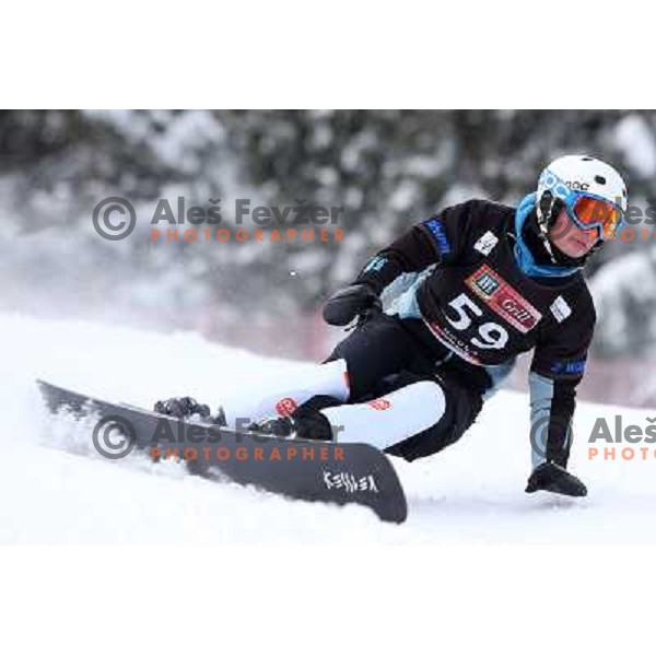 Andraz Kamnik of Slovenia in action during FIS Snowboard World Cup in Parallel Giant Slalom at Rogla, Slovenia on February 8, 2013 