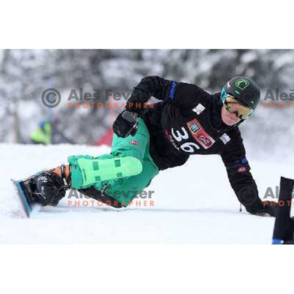 Jernej Demsar of Slovenia in action during FIS Snowboard World Cup in Parallel Giant Slalom at Rogla, Slovenia on February 8, 2013 