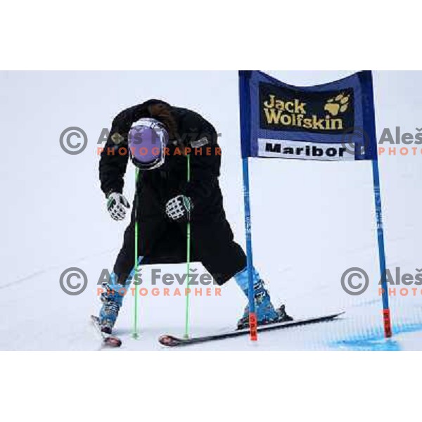 Tina Maze of Slovenia during course inspection at Audi FIS Ski World Cup giant slalom for 49.Golden Fox Trophy-Zlata Lisica in Maribor, Slovenia in January 26, 2013 