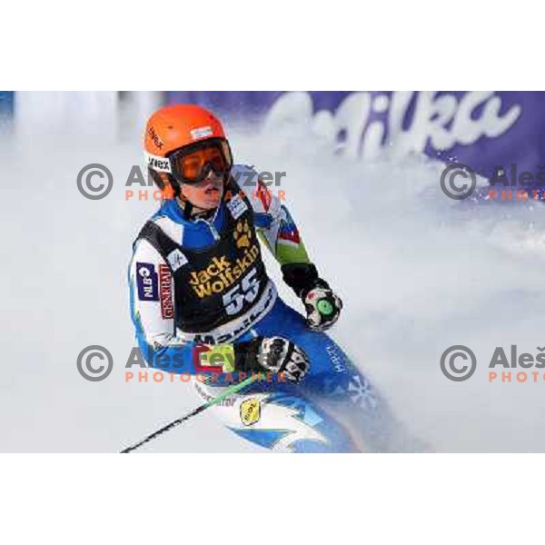 Katarina Lavtar of Slovenia at Audi FIS Ski World Cup giant slalom for 49.Golden Fox Trophy-Zlata Lisica in Maribor, Slovenia in January 26, 2013 