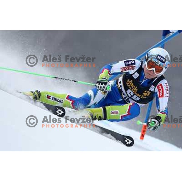 Ana Drev of Slovenia at Audi FIS Ski World Cup giant slalom for 49.Golden Fox Trophy-Zlata Lisica in Maribor, Slovenia in January 26, 2013 