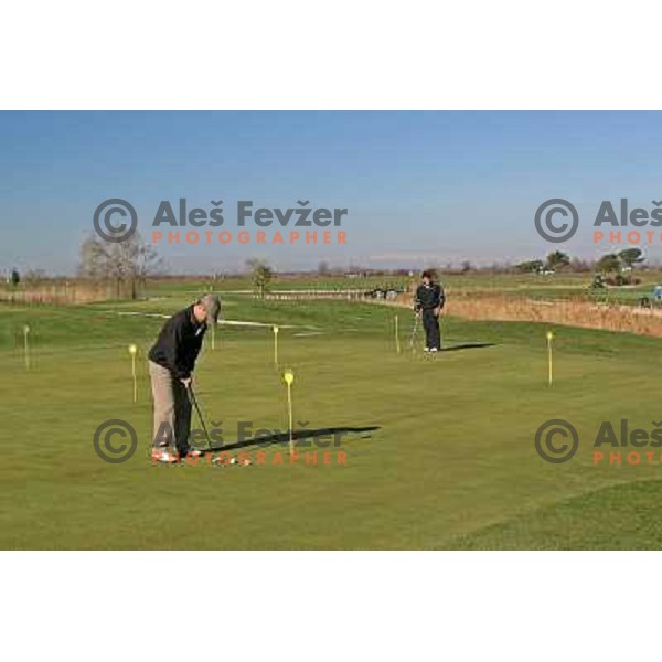 Putting green at Grado golf course, Italy