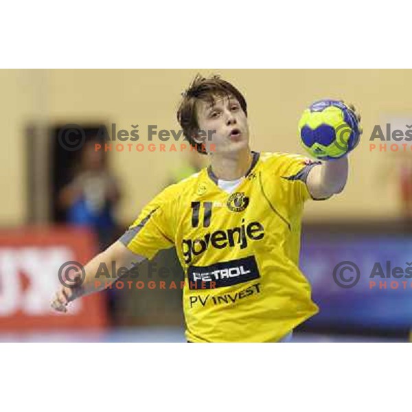 Jure Dolenec of RK Gorenje Velenje in action during handball match RK Gorenje Velenje-SK Vive Targi Kielce in EHF Velux Champions league, played in Red Hall, Velenje, Slovenia on February 23, 2013 