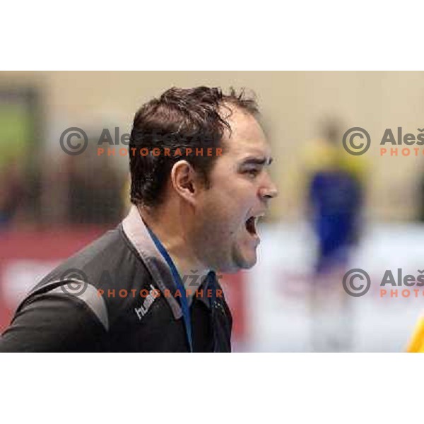 Branko Tamse, head coach of RK Gorenje Velenje in action during handball match RK Gorenje Velenje-SK Vive Targi Kielce in EHF Velux Champions league, played in Red Hall, Velenje, Slovenia on February 23, 2013 