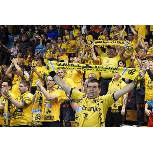 of RK Gorenje Velenje in action during handball match RK Gorenje Velenje-SK Vive Targi Kielce in EHF Velux Champions league, played in Red Hall, Velenje, Slovenia on February 23, 2013 