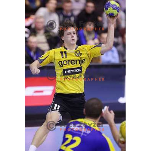 Jure Dolenec of RK Gorenje Velenje in action during handball match RK Gorenje Velenje-SK Vive Targi Kielce in EHF Velux Champions league, played in Red Hall, Velenje, Slovenia on February 23, 2013 