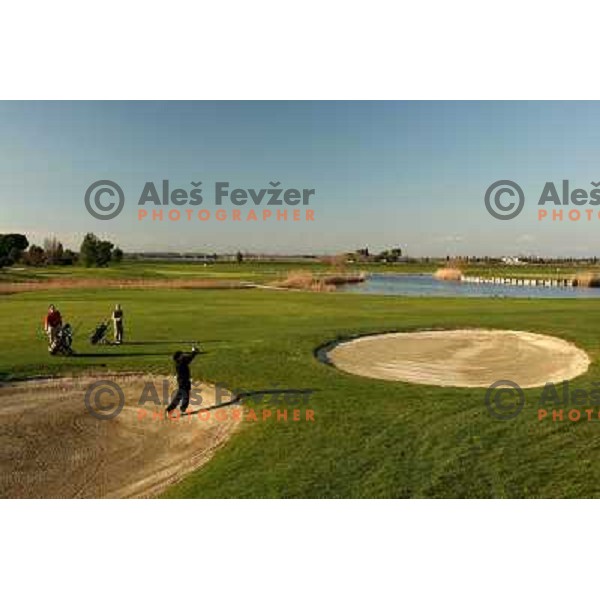 playing from the bunker at 18th hole at Grado golf course, Italy