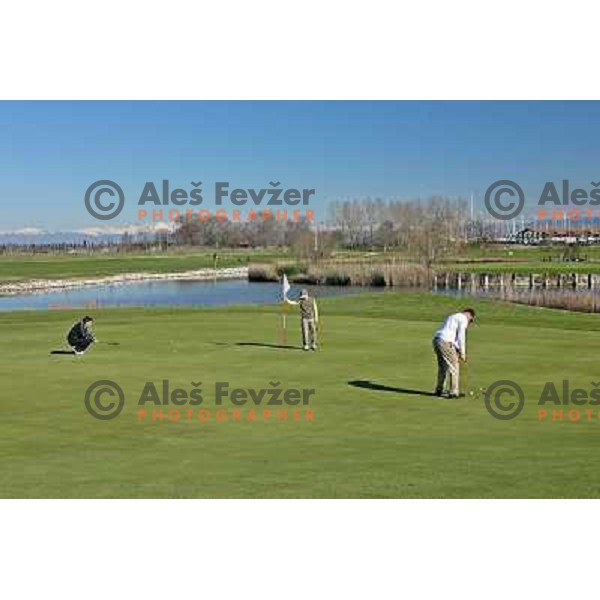 Putting at 2nd green at Grado golf course, Italy