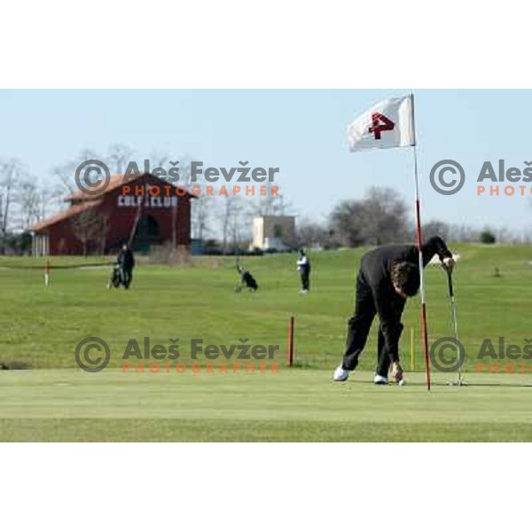 Reparing pitch mark at 4th hole at Grado golf course, Italy